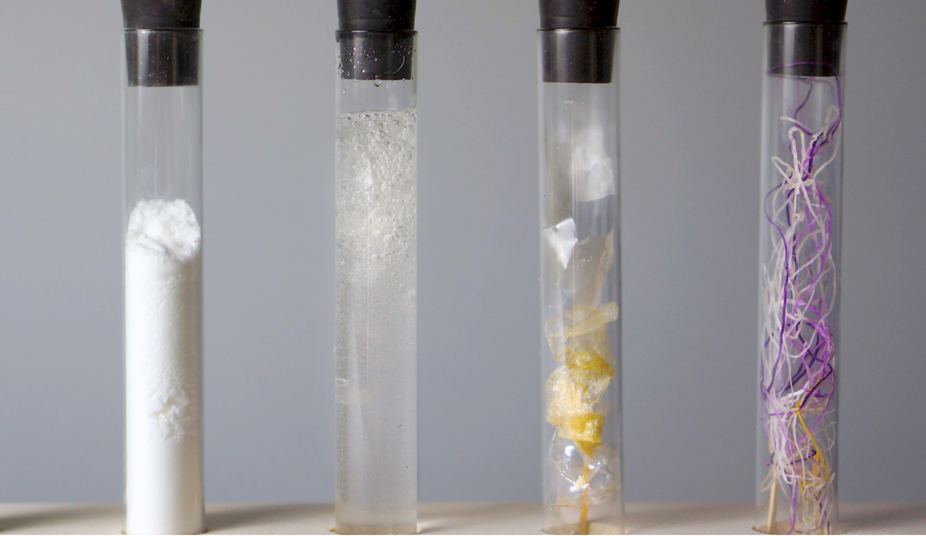 Image of test tubes containing microorganisms and biofabricated fibre by Algiknit