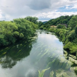 Nature Rules on Common Objective