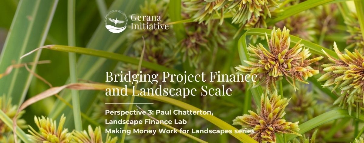 MMW Perspective 3: Bridging Project Finance and Landscape Scale