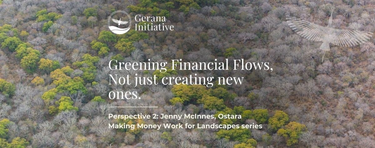 MMW Perspective 2: Greening Financial Flows, Not Just Creating New Ones