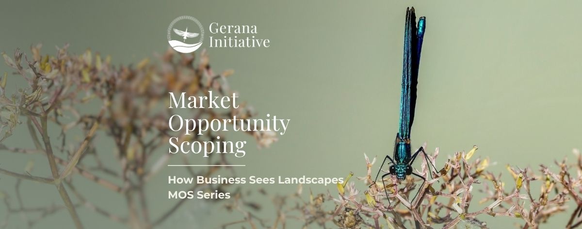 New Market Opportunity Scoping - out now