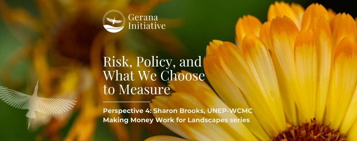 MMW Perspective 4: Risk, Policy, and What We Choose to Measure