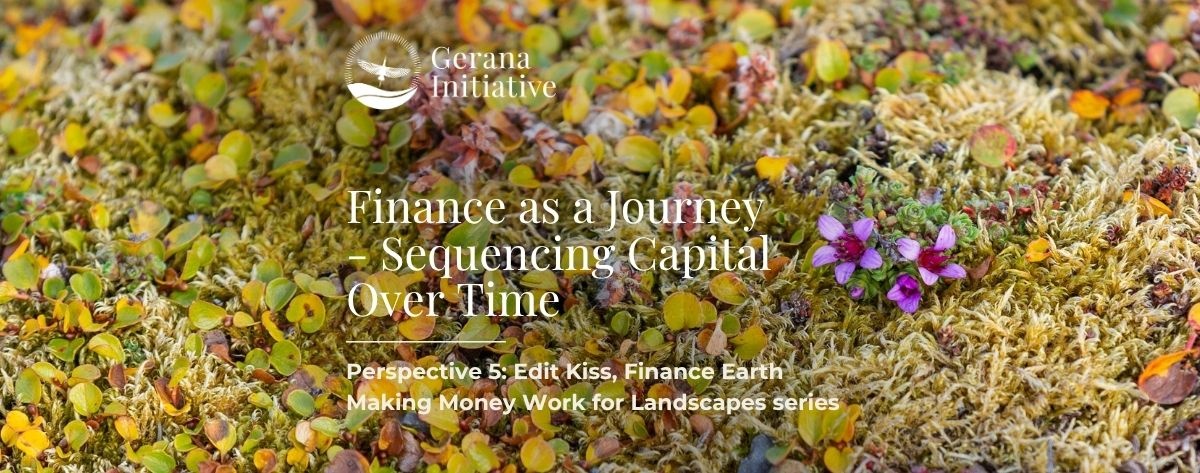 MMW Perspective 5: Finance as a Journey - Sequencing Capital Over Time