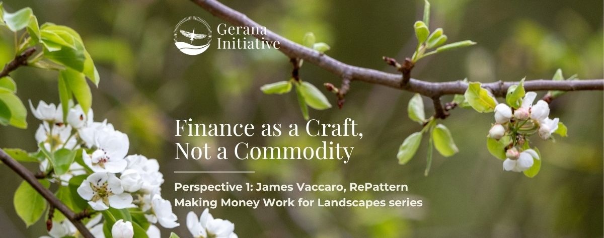 MMW Perspective 1: Finance as a Craft, Not a Commodity