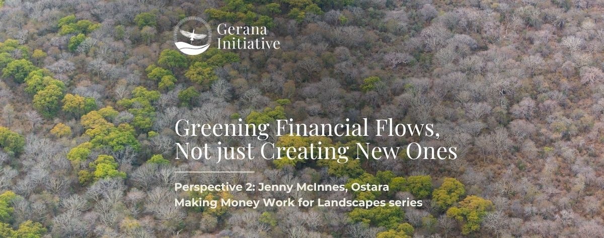 MMW Perspective 2: Greening Financial Flows, Not Just Creating New Ones