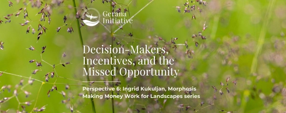 MMW Perspective 6: Decision-Makers, Incentives, and the Missing Opportunity
