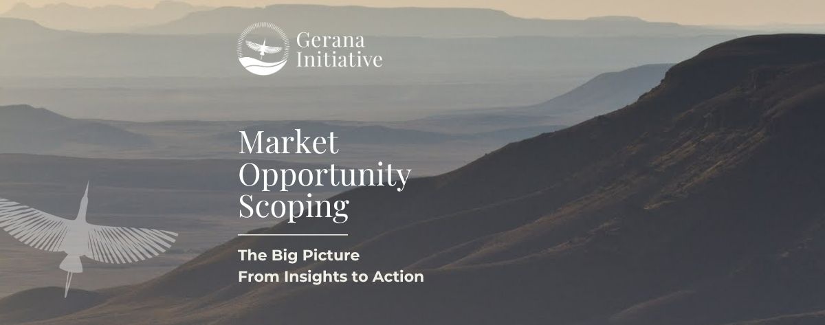 The Big Picture: From insight to action in real landscapes