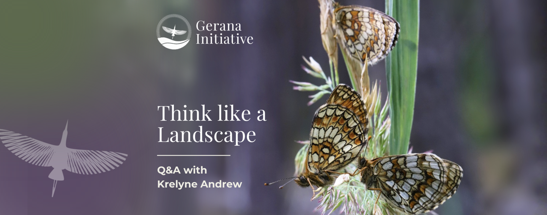 Think Like a Landscape