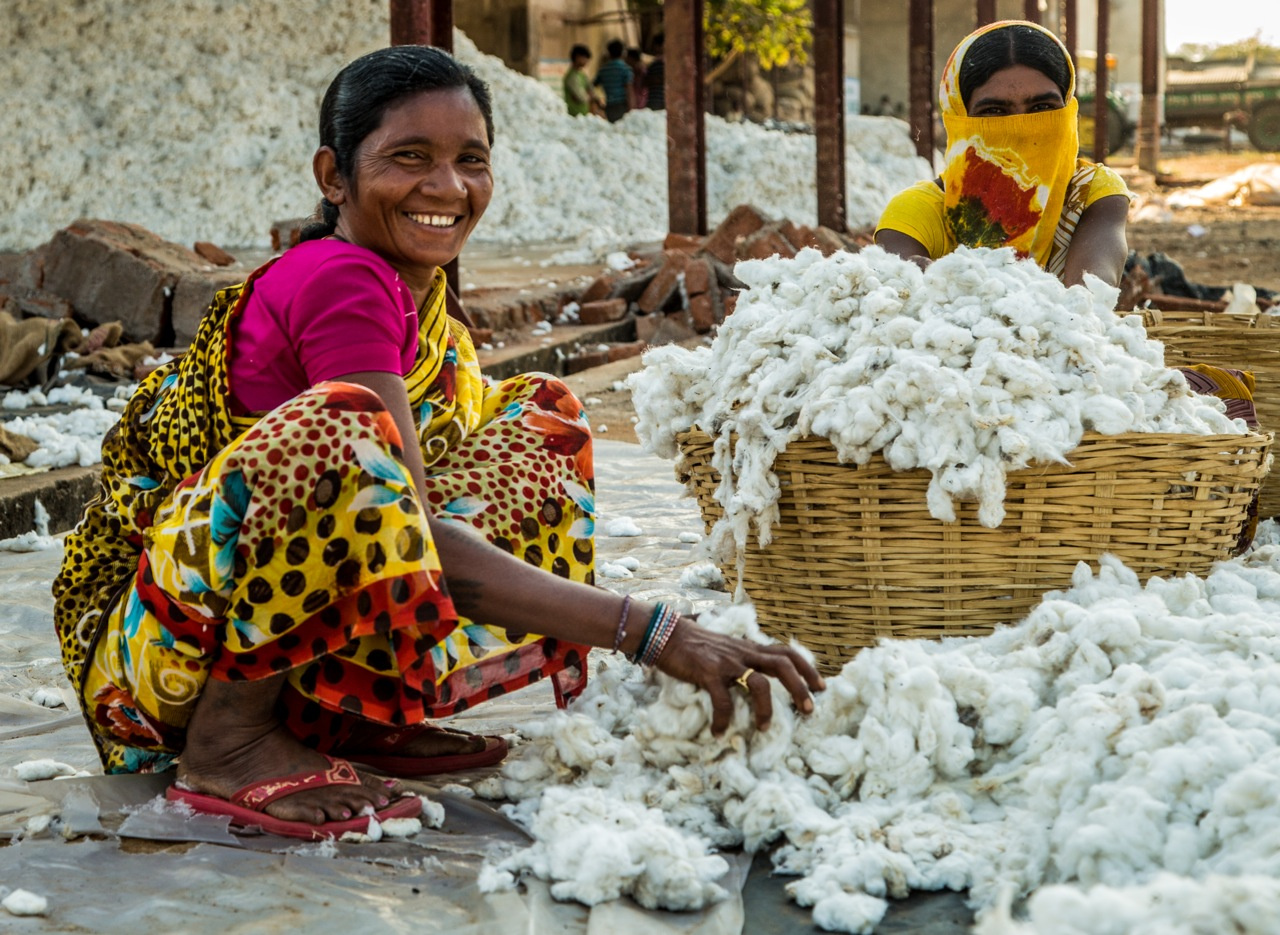 Is Cotton Bad For The Environment?