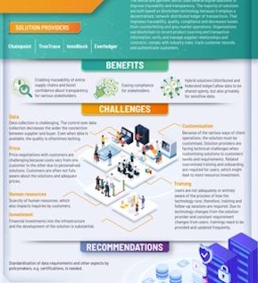 Digital Solutions and Challenges in the Textile Sector