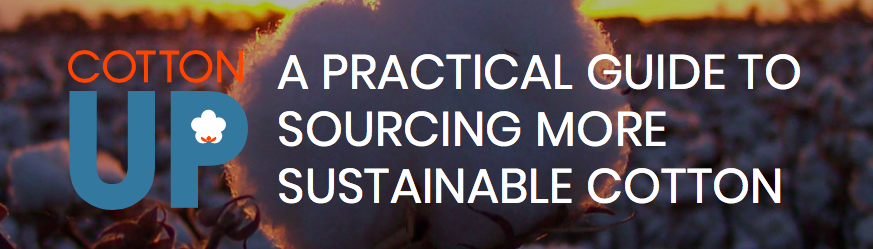 A Practical Guide To Sourcing More Sustainable Cotton